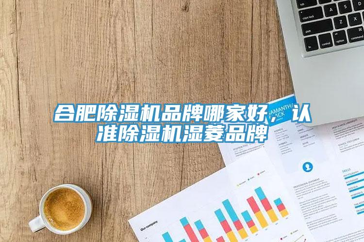 合肥除濕機品牌哪家好，認準除濕機濕菱品牌