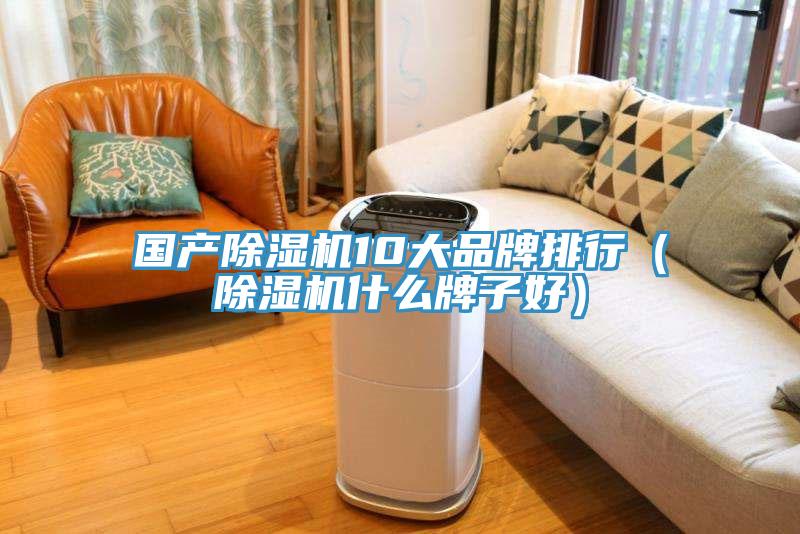 國(guó)產(chǎn)除濕機(jī)10大品牌排行（除濕機(jī)什么牌子好）
