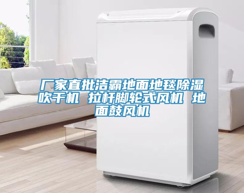 廠家直批潔霸地面地毯除濕吹干機 拉桿腳輪式風(fēng)機 地面鼓風(fēng)機