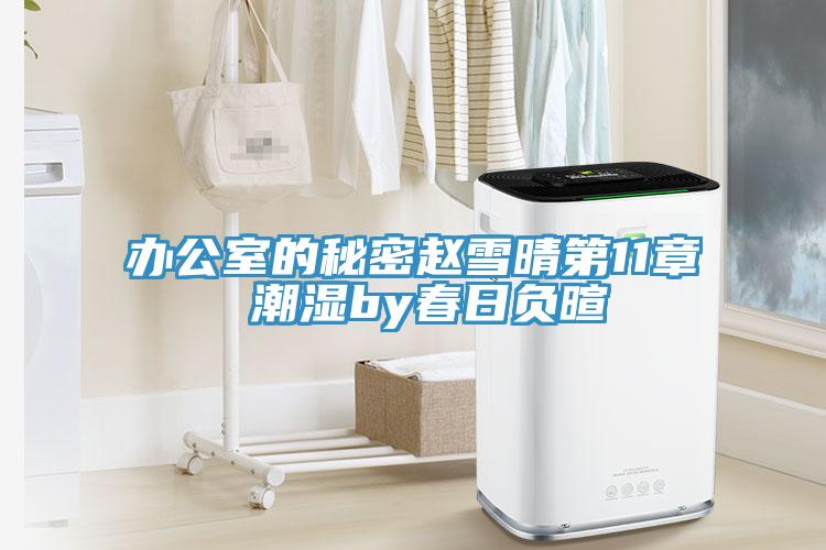 辦公室的秘密趙雪晴第11章 潮濕by春日負暄