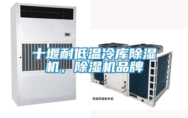 十堰耐低溫冷庫除濕機，除濕機品牌