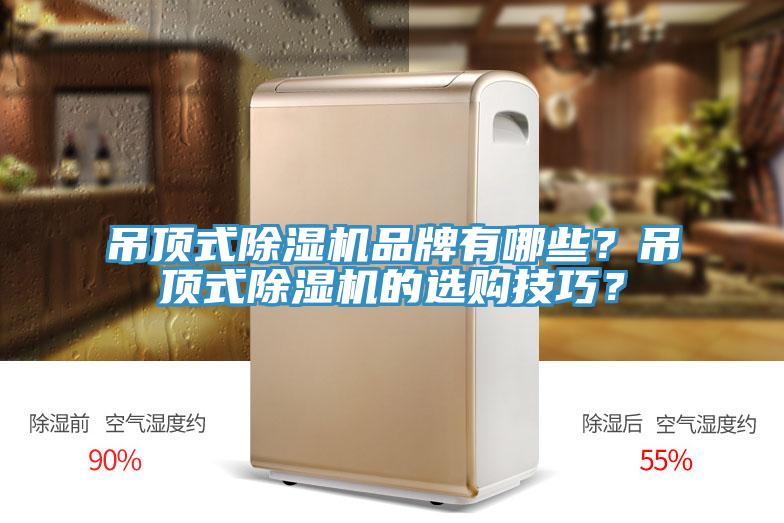 吊頂式除濕機品牌有哪些？吊頂式除濕機的選購技巧？