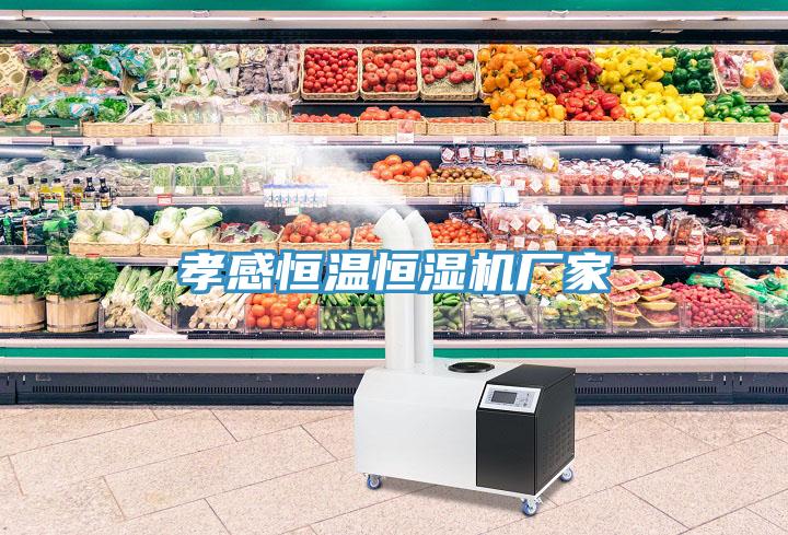 孝感恒溫恒濕機廠家