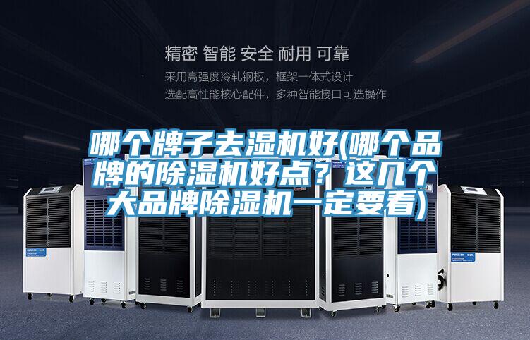 哪個(gè)牌子去濕機(jī)好(哪個(gè)品牌的除濕機(jī)好點(diǎn)？這幾個(gè)大品牌除濕機(jī)一定要看)