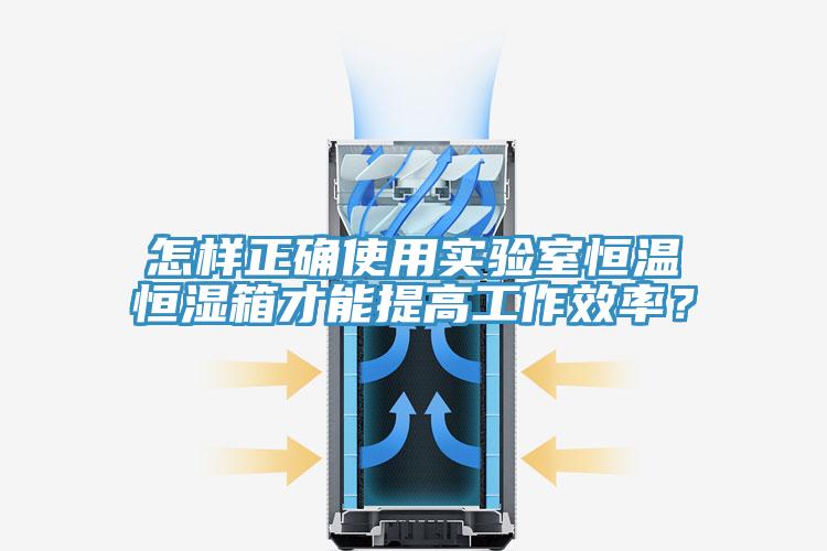 怎樣正確使用實(shí)驗(yàn)室恒溫恒濕箱才能提高工作效率？