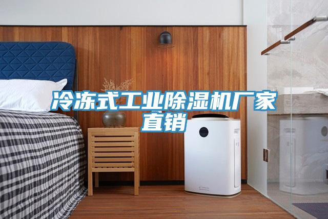 冷凍式工業(yè)除濕機(jī)廠家直銷