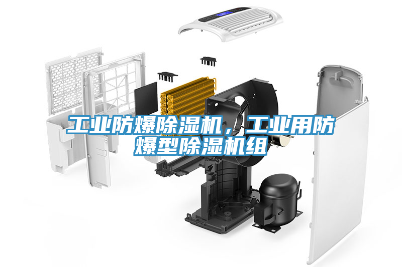 工業(yè)防爆除濕機，工業(yè)用防爆型除濕機組