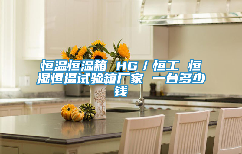 恒溫恒濕箱 HG／恒工 恒濕恒溫試驗(yàn)箱廠家 一臺(tái)多少錢(qián)