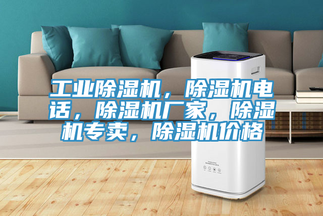 工業(yè)除濕機(jī)，除濕機(jī)電話，除濕機(jī)廠家，除濕機(jī)專賣，除濕機(jī)價(jià)格