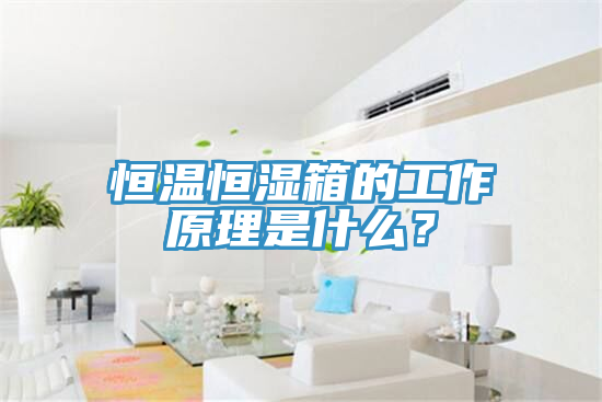 恒溫恒濕箱的工作原理是什么？