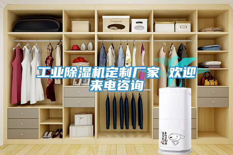 工業(yè)除濕機定制廠家 歡迎來電咨詢