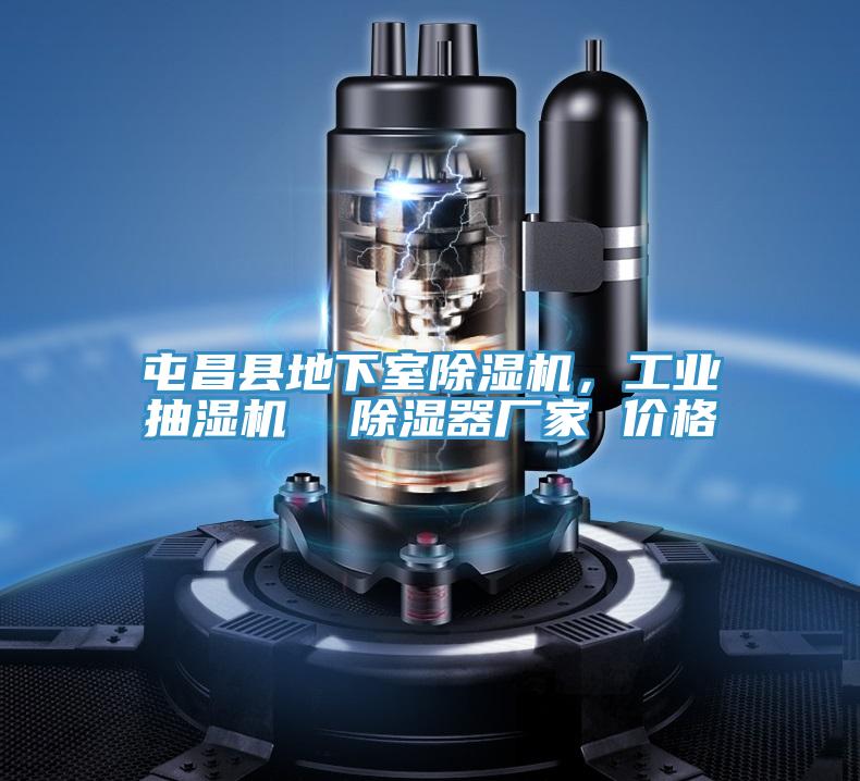 屯昌縣地下室除濕機(jī)，工業(yè)抽濕機(jī)  除濕器廠家 價(jià)格
