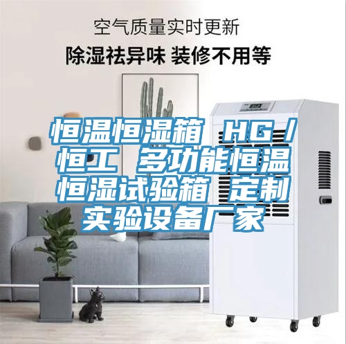 恒溫恒濕箱 HG／恒工 多功能恒溫恒濕試驗(yàn)箱 定制實(shí)驗(yàn)設(shè)備廠家