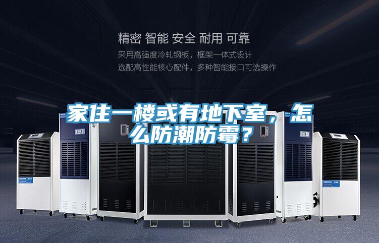家住一樓或有地下室，怎么防潮防霉？