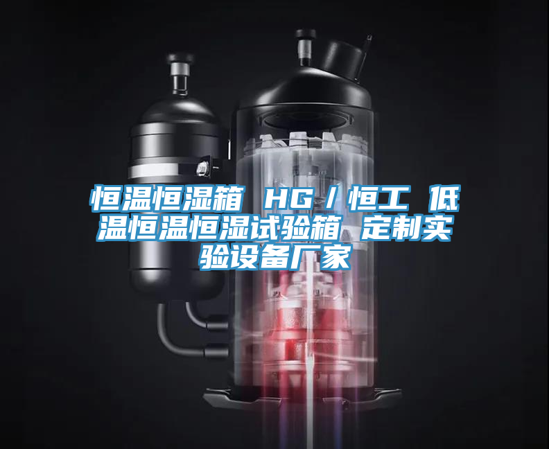 恒溫恒濕箱 HG／恒工 低溫恒溫恒濕試驗(yàn)箱 定制實(shí)驗(yàn)設(shè)備廠家