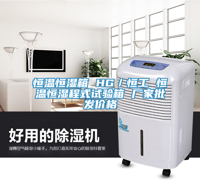 恒溫恒濕箱 HG／恒工 恒溫恒濕程式試驗(yàn)箱 廠家批發(fā)價(jià)格