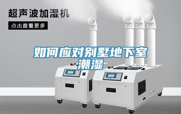 如何應(yīng)對別墅地下室潮濕