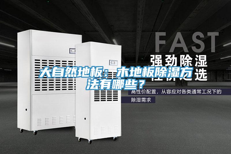 大自然地板：木地板除濕方法有哪些？