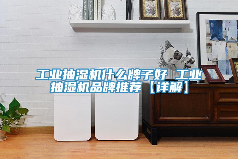 工業(yè)抽濕機(jī)什么牌子好 工業(yè)抽濕機(jī)品牌推薦【詳解】