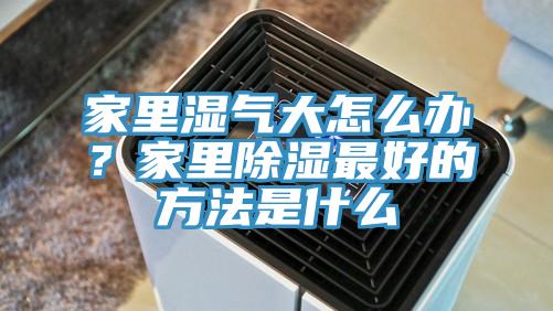 家里濕氣大怎么辦？家里除濕最好的方法是什么