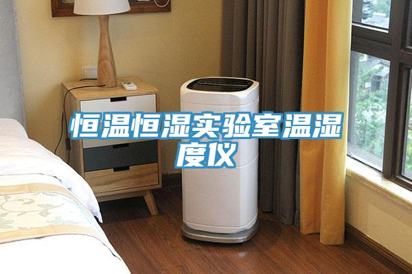 恒溫恒濕實驗室溫濕度儀