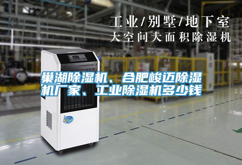 巢湖除濕機、合肥峻邁除濕機廠家、工業(yè)除濕機多少錢