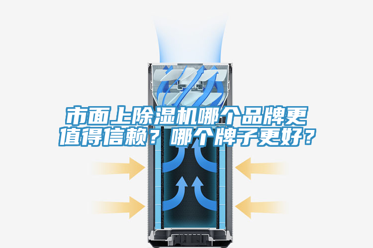 市面上除濕機哪個品牌更值得信賴？哪個牌子更好？