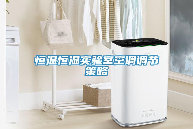 恒溫恒濕實(shí)驗(yàn)室空調(diào)調(diào)節(jié)策略