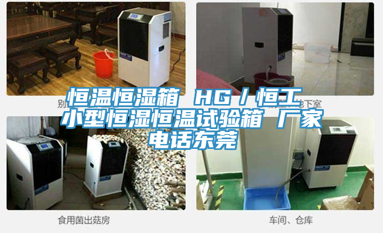 恒溫恒濕箱 HG／恒工 小型恒濕恒溫試驗(yàn)箱 廠家電話東莞