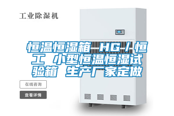 恒溫恒濕箱 HG／恒工 小型恒溫恒濕試驗(yàn)箱 生產(chǎn)廠家定做