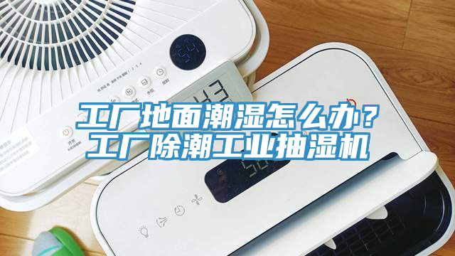 工廠地面潮濕怎么辦？工廠除潮工業(yè)抽濕機(jī)
