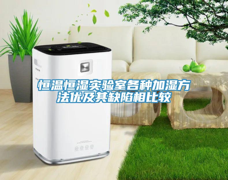 恒溫恒濕實(shí)驗(yàn)室各種加濕方法優(yōu)及其缺陷相比較