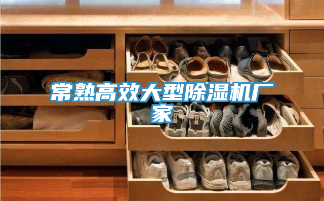 常熟高效大型除濕機(jī)廠家