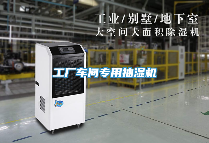 工廠車(chē)間專(zhuān)用抽濕機(jī)