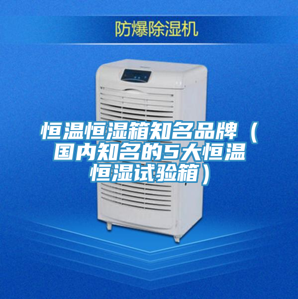 恒溫恒濕箱知名品牌（國內(nèi)知名的5大恒溫恒濕試驗箱）