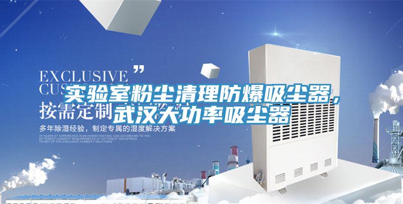 實驗室粉塵清理防爆吸塵器，武漢大功率吸塵器