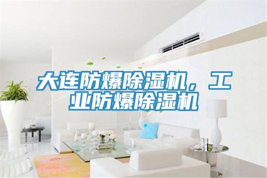 大連防爆除濕機(jī)，工業(yè)防爆除濕機(jī)
