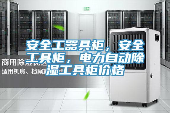 安全工器具柜，安全工具柜，電力自動除濕工具柜價格