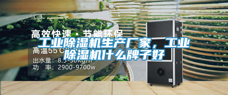 工業(yè)除濕機生產(chǎn)廠家，工業(yè)除濕機什么牌子好
