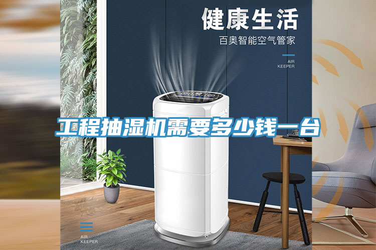 工程抽濕機(jī)需要多少錢(qián)一臺(tái)