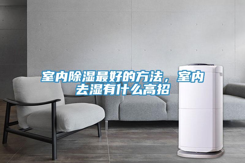 室內(nèi)除濕最好的方法，室內(nèi)去濕有什么高招