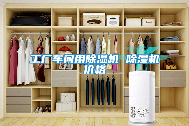 工廠車(chē)間用除濕機(jī) 除濕機(jī)價(jià)格