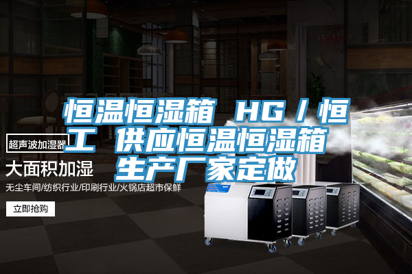 恒溫恒濕箱 HG／恒工 供應恒溫恒濕箱 生產(chǎn)廠家定做