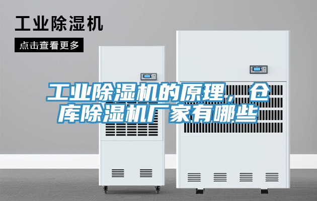 工業(yè)除濕機的原理，倉庫除濕機廠家有哪些