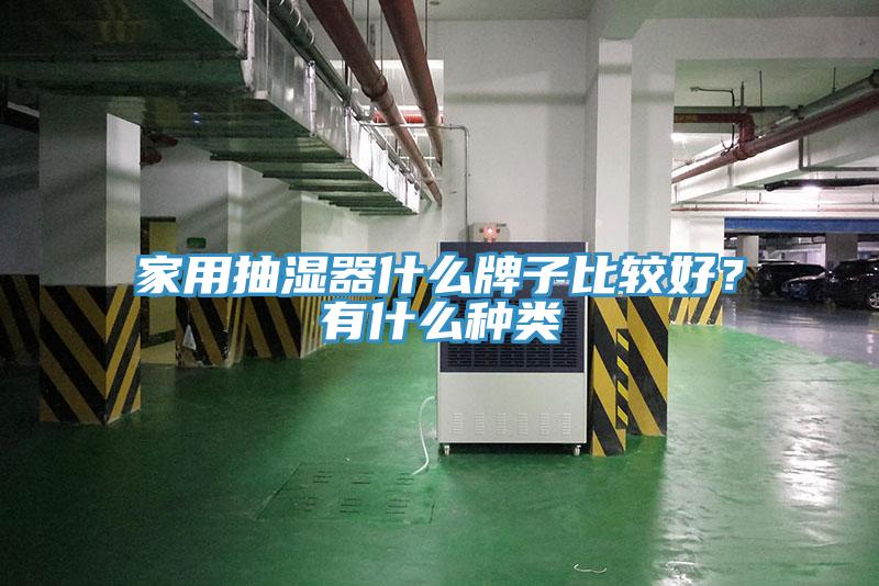 家用抽濕器什么牌子比較好？有什么種類