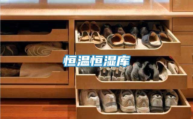 恒溫恒濕庫(kù)