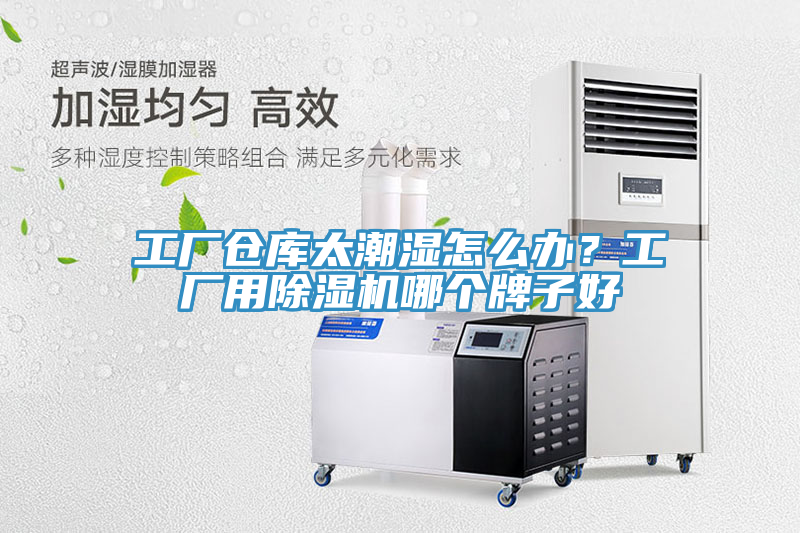 工廠倉庫太潮濕怎么辦？工廠用除濕機(jī)哪個(gè)牌子好