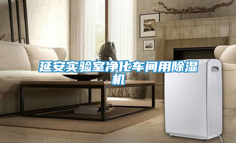延安實驗室凈化車間用除濕機(jī)