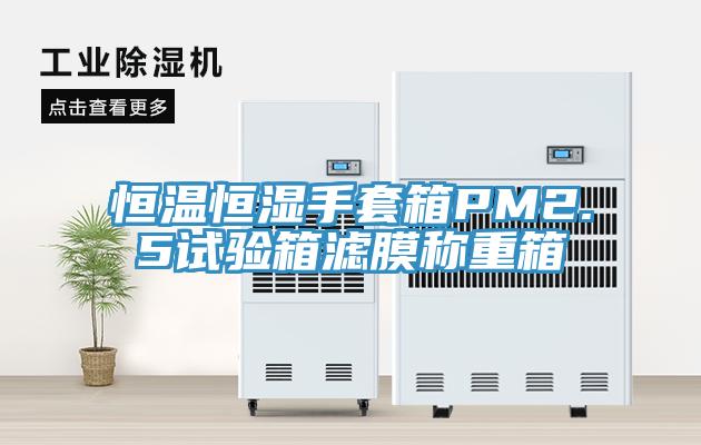 恒溫恒濕手套箱PM2.5試驗(yàn)箱濾膜稱重箱