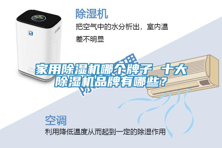 家用除濕機哪個牌子 十大除濕機品牌有哪些？